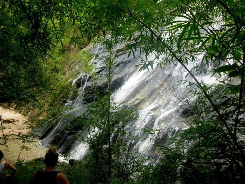 wanderlust bee jungle trekking in chiang mai