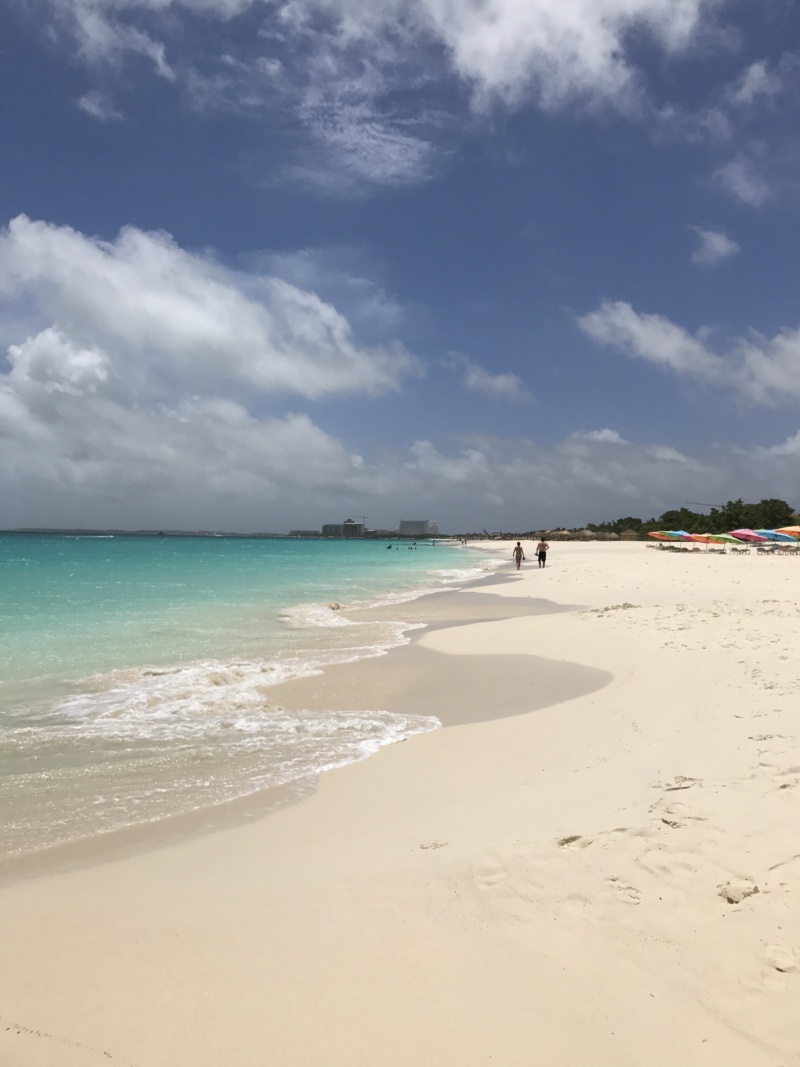 Wanderlustee - Eagle Beach, Aruba, Caribbean 