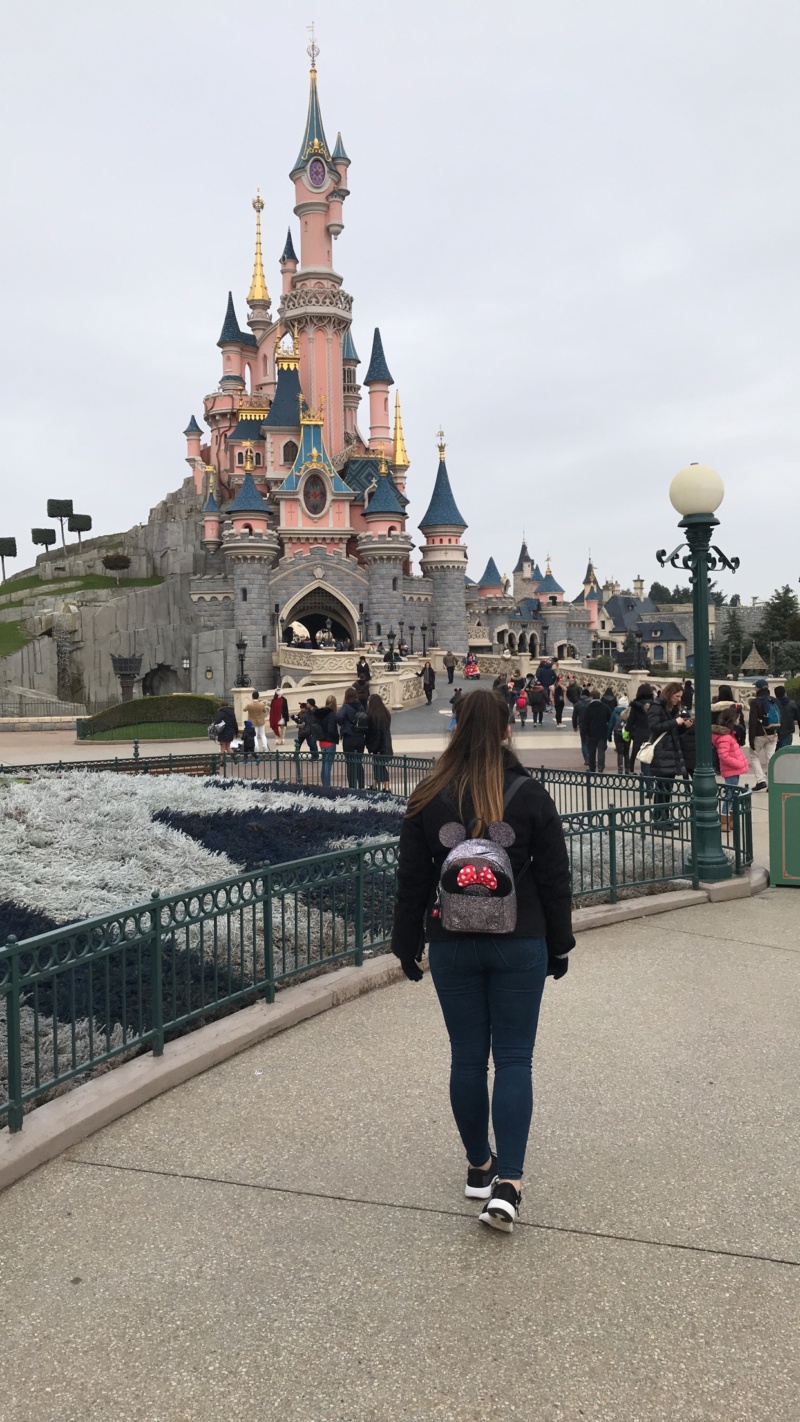 Wanderlust bee - Disneyland Paris