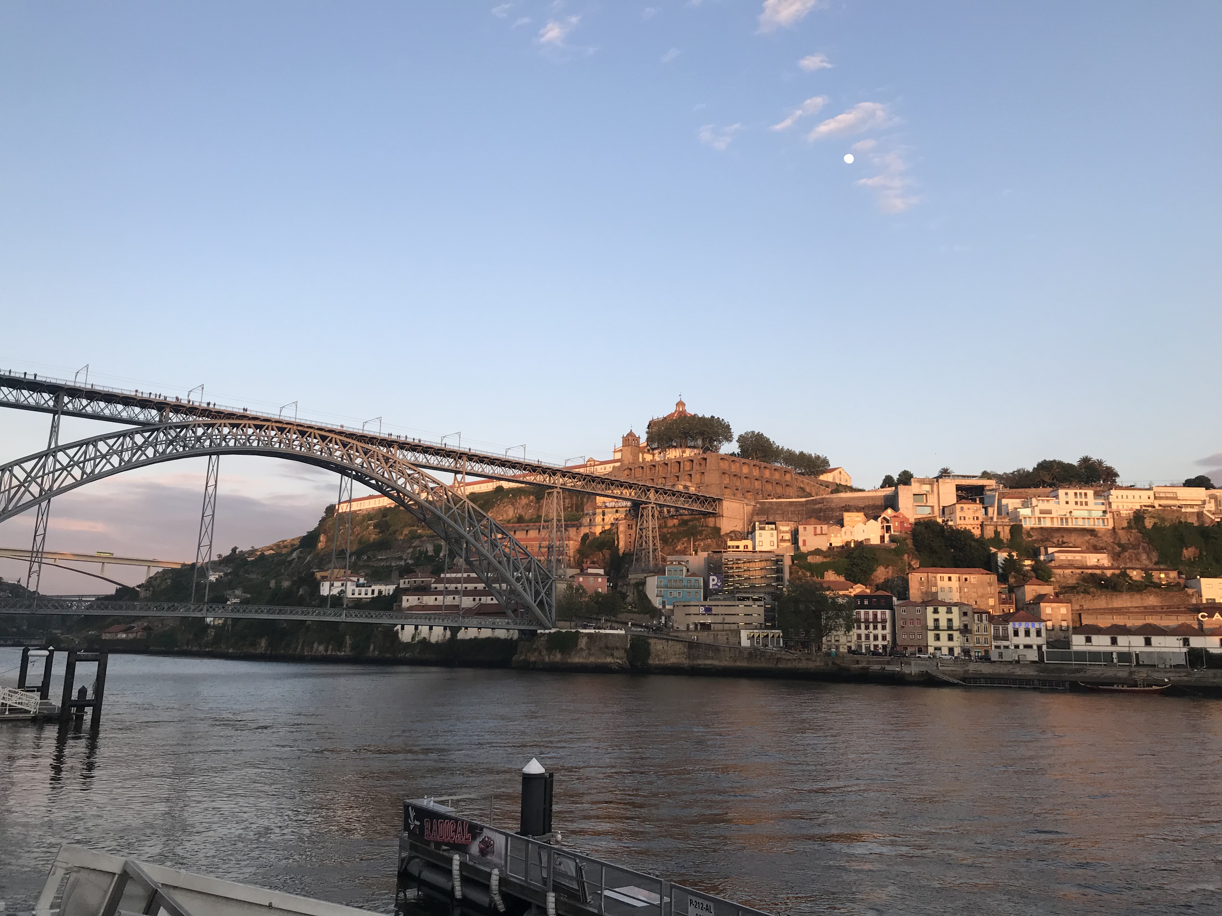 WanderustBee - Porto, Portugal