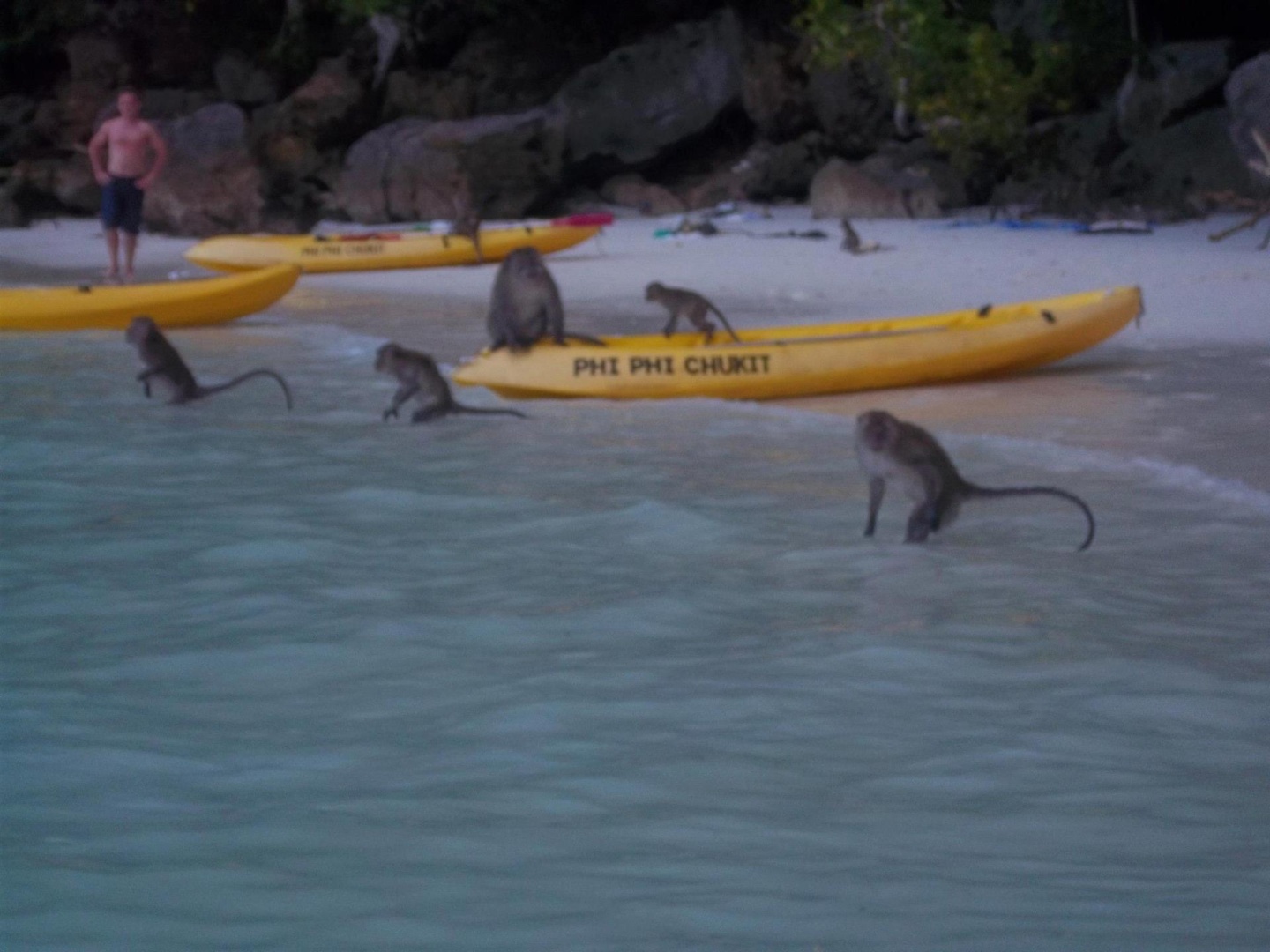 Wanderlust bee backpacking Thailand Koh phi phi part two