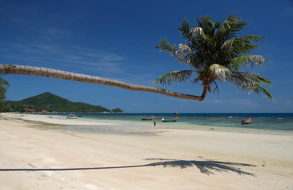 wanderlust bee backpacking asia stop five koh tao