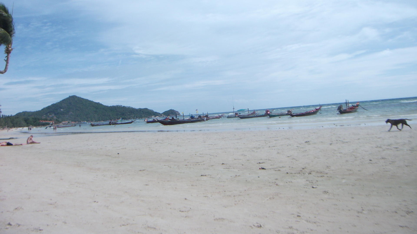 wanderlust bee backpacking asia thailand koh tao