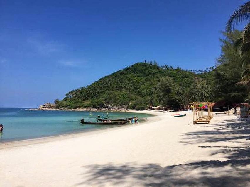 wanderlust bee backpacking stop four koh phangan