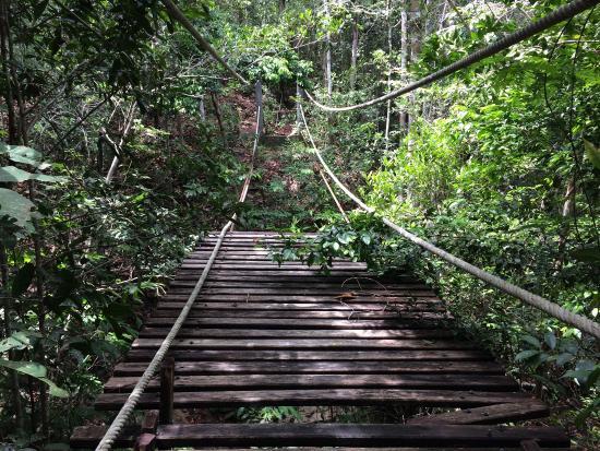 wanderlust bee backpacking stop four koh phangan