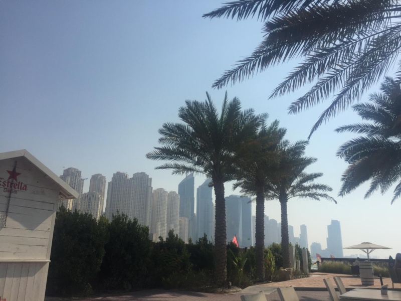 wanderlust bee six days in Dubai