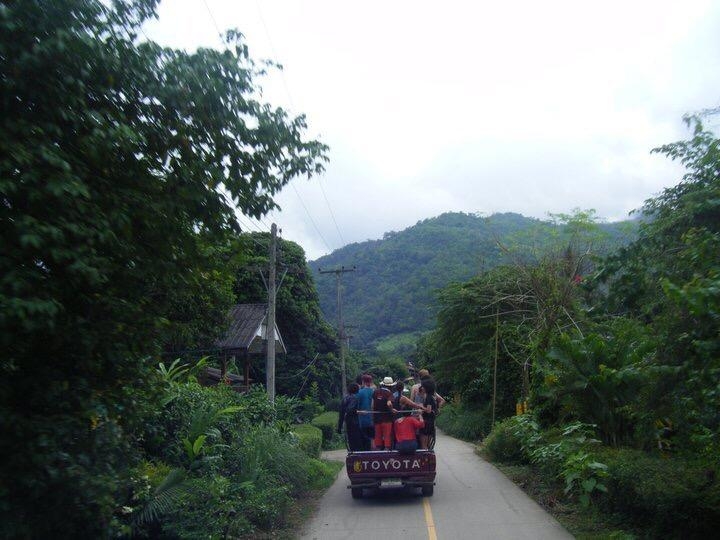 wanderlust bee jungle trekking in chiang mai