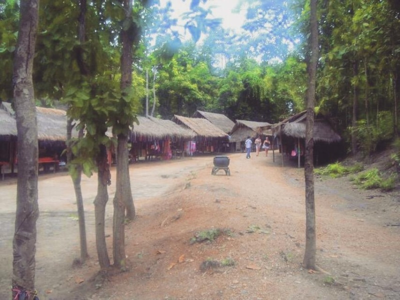 wanderlust bee jungle trekking in chiang mai