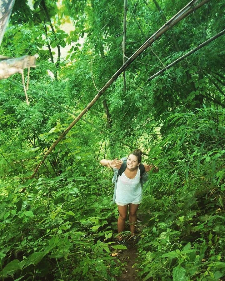 wanderlust bee jungle trekking in chiang mai