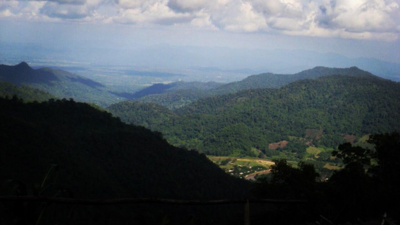 wanderlust bee jungle trekking in chiang mai