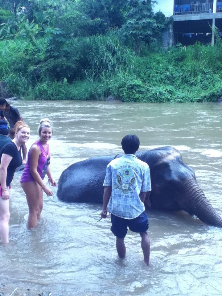 wanderlust bee jungle trekking in chiang mai