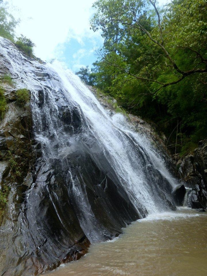 wanderlust bee jungle trekking in chiang mai