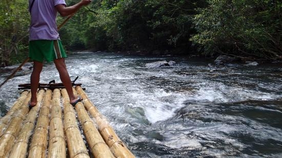 wanderlust bee jungle trekking in chiang mai