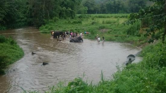 wanderlust bee jungle trekking in chiang mai