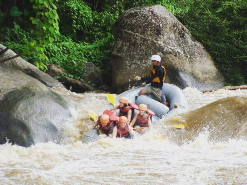 wanderlust bee jungle trekking in chiang mai