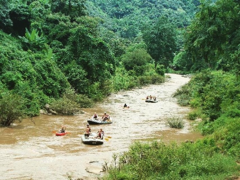 wanderlust bee jungle trekking in chiang mai