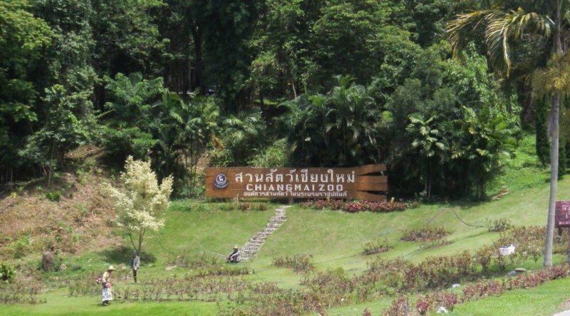 Wanderlustbee Chiang Mai, Thailand. Chiang Mai Zoo