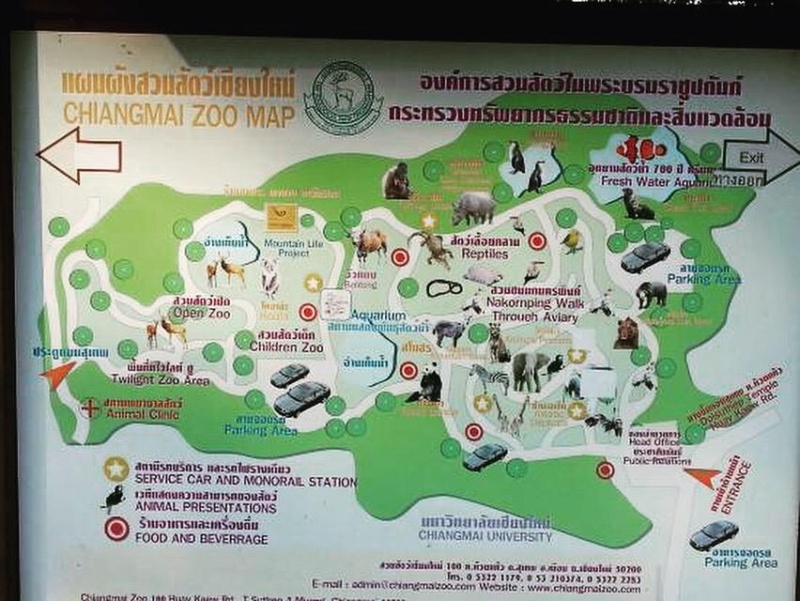 Chaing Mai zoo map of animals
