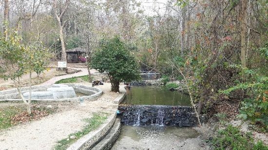 wanderlustbee pai hot springs