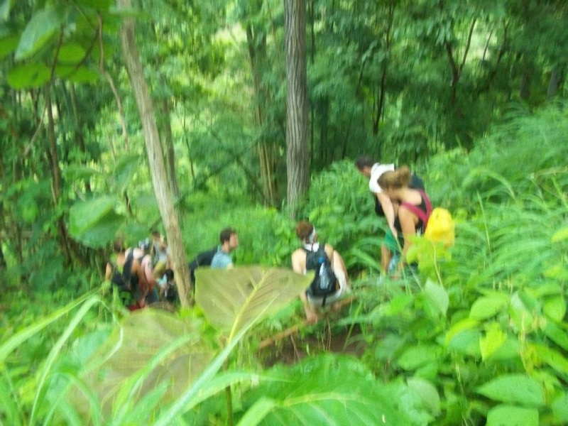 Wanderlsust bee jungle trekking in chiang mai