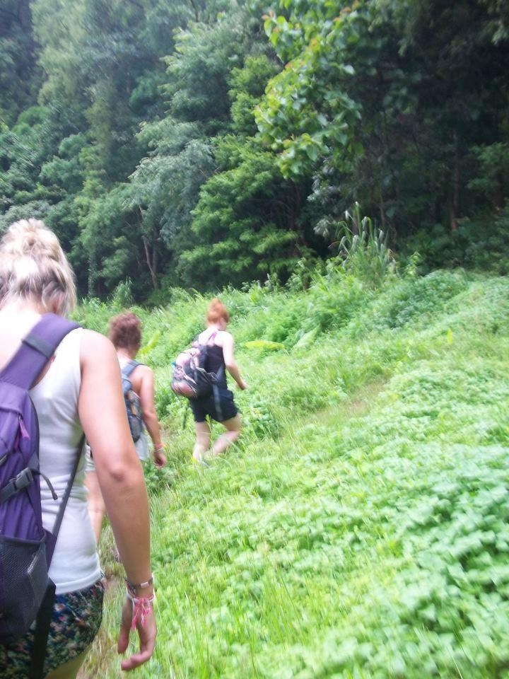 wanderlust bee jungle trekking in chiang mai