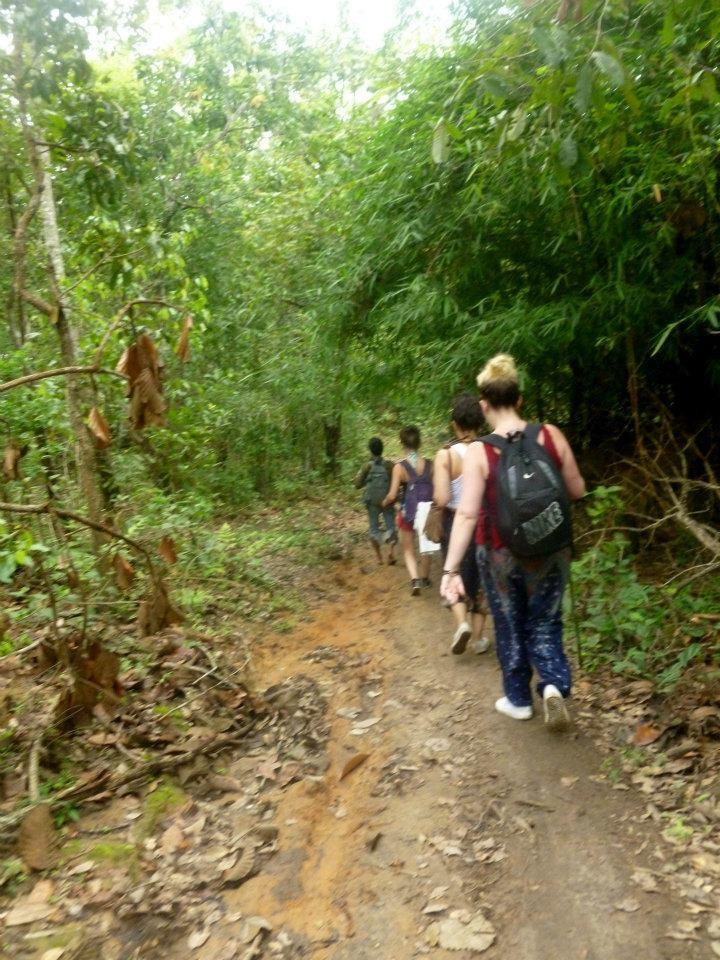 wanderlust bee jungle trekking in chiang mai