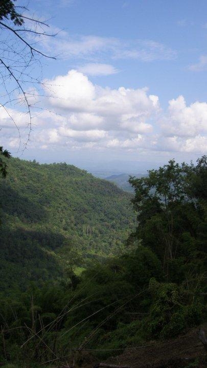 wanderlust bee jungle trekking in chiang mai