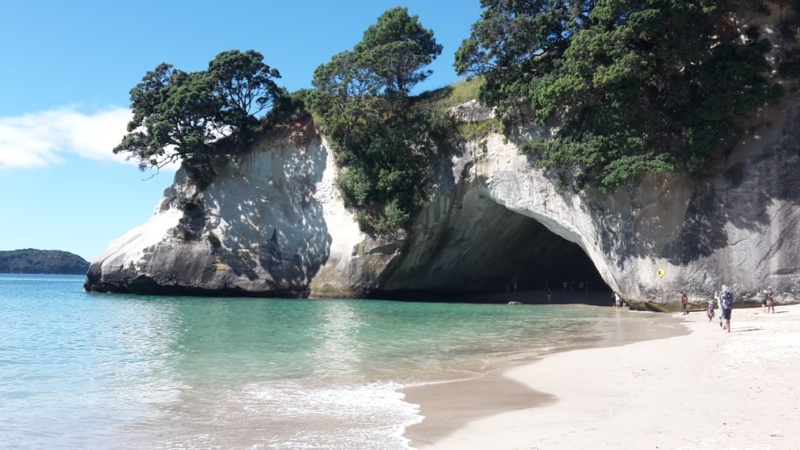 cathedral cove beach 1 - Wanderlustbee