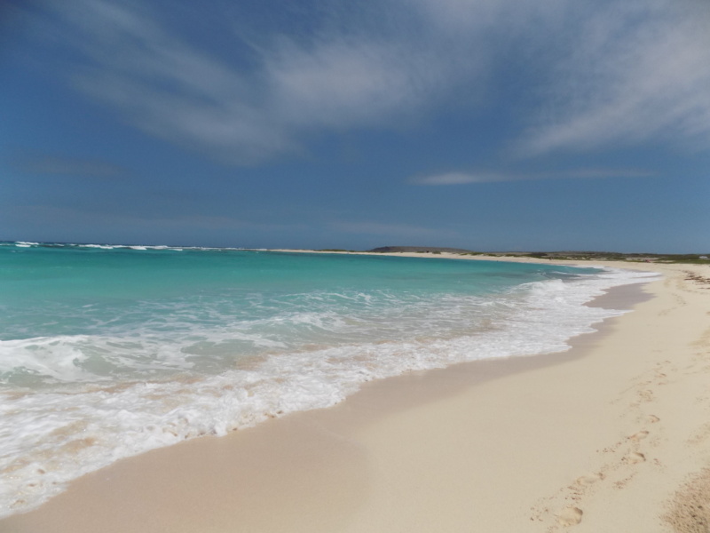 Wanderlustbee- Grapefield beach, Aruba, Caribbean 