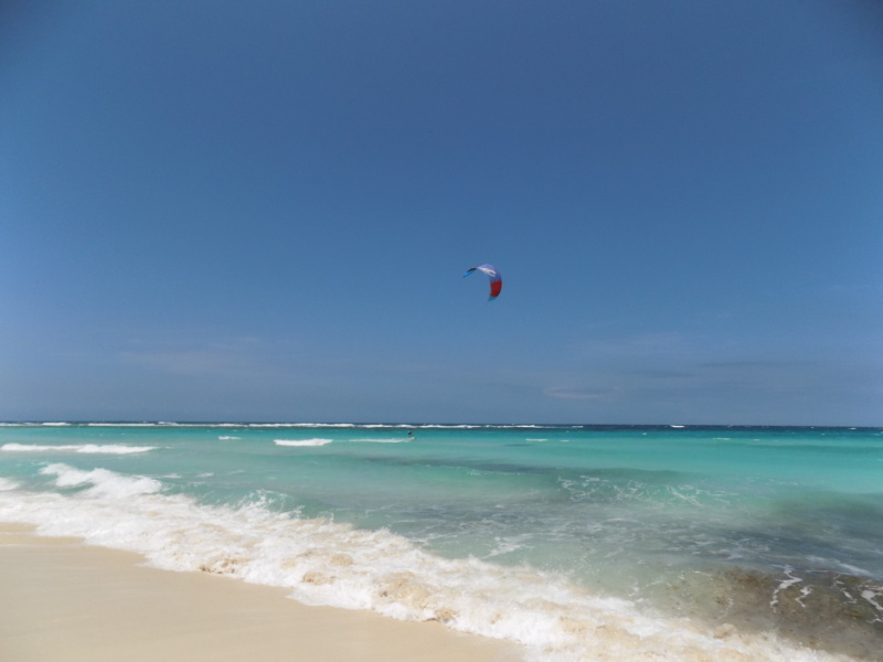 wanderlustbee - grapefield beach, Aruba, Carribean 