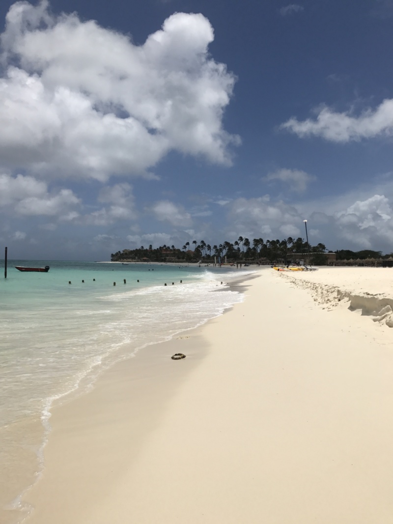 Wanderlustbee Druif beach, Aruba, Caribbean 