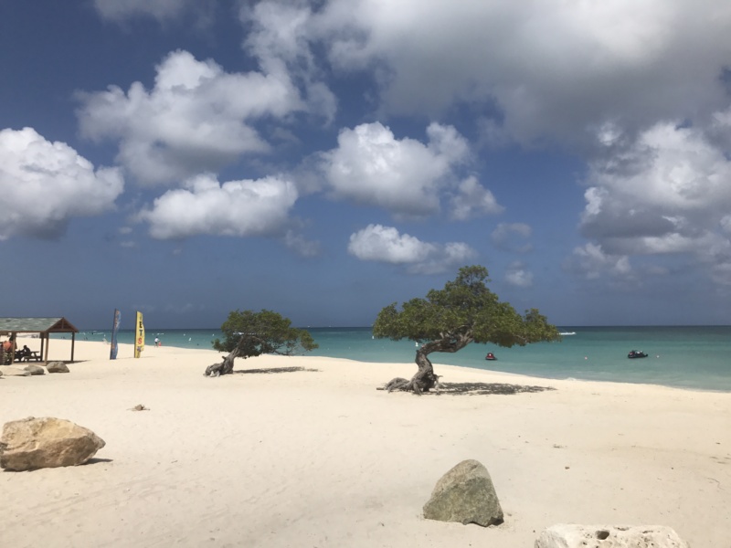 Eagle Beach, Aruba, Caribbean