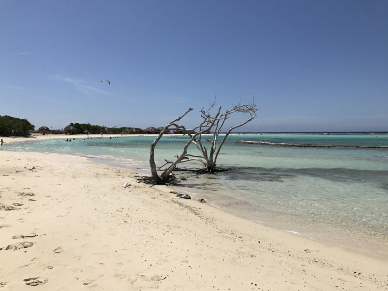 Wanderlustbee- Baby Beach, Aruba, Caribbean 