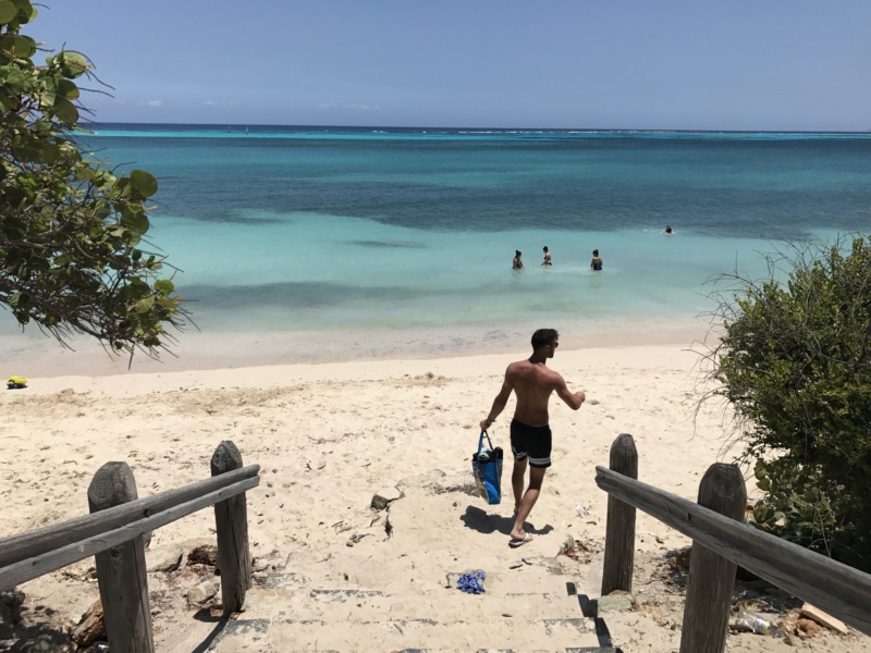 Wanderlustbee- Rodgers Beach, Aruba, Caribbean 