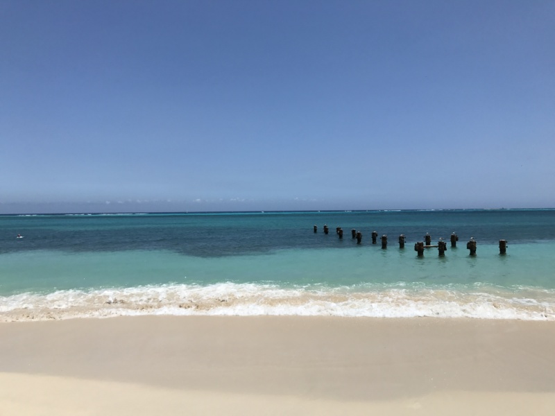 Wanderlustbee- Rodgers beach, Aruba, Caribbean 