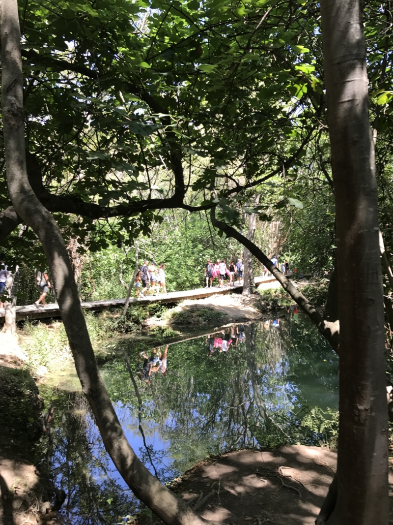 wanderlust bee - Krka national park