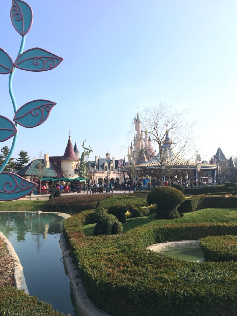 Wanderlust bee - Disneyland, Paris