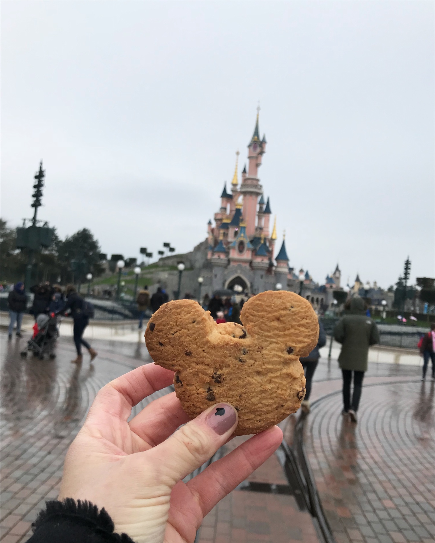 Wanderlust bee - Disneyland Paris