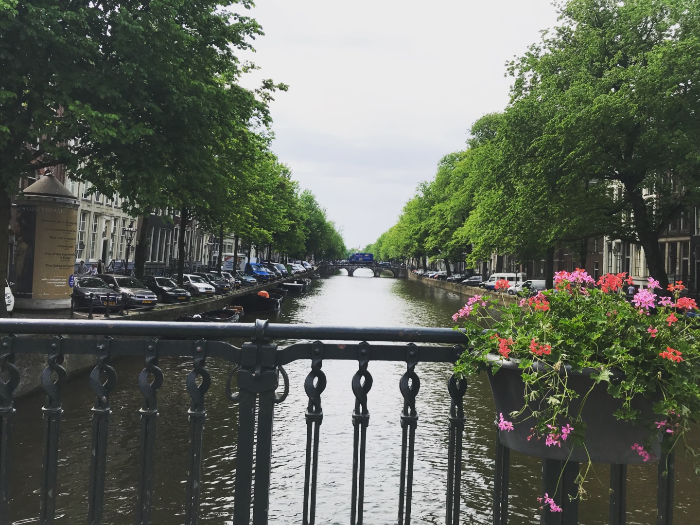 Wanderlust bee - Amsterdam