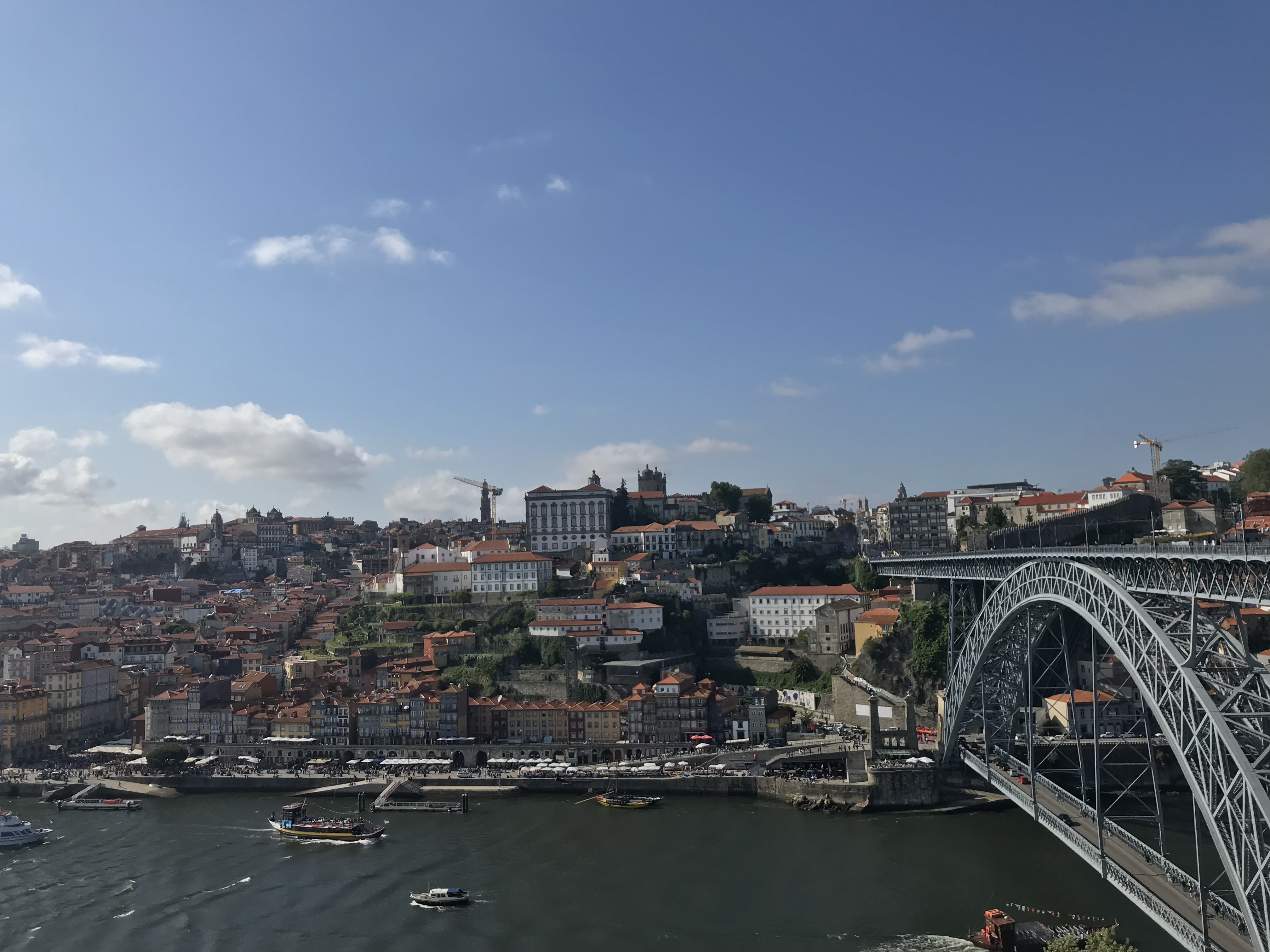 Wanderlust Bee - Porto, Portugal