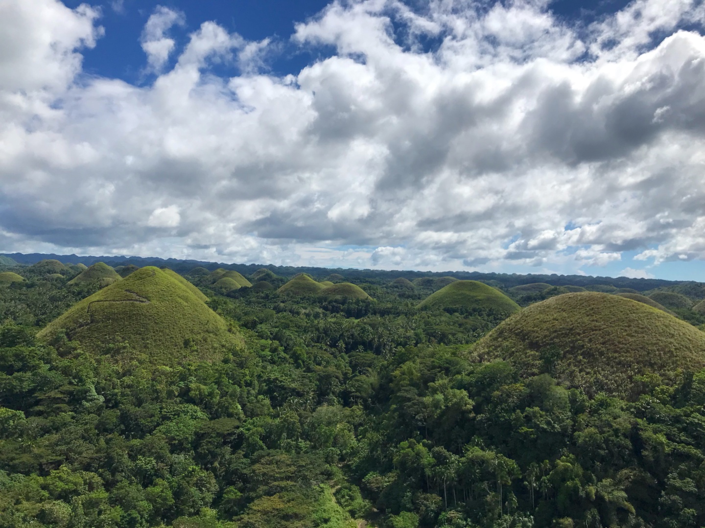 Philippines | A Day Trip to Bohol
