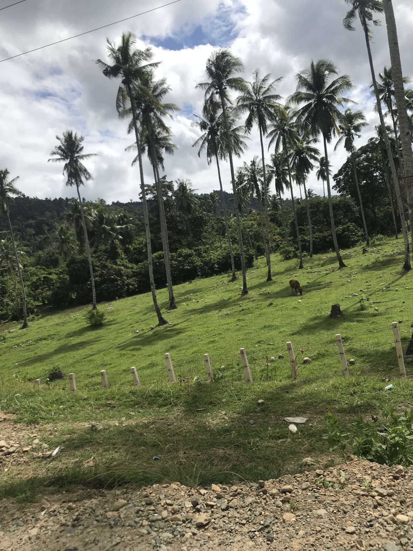 WanderlustBee - El Nido, Palawan, Philippines