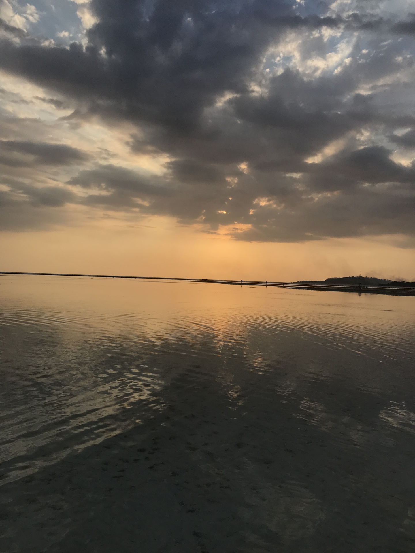 Wanderlust bee - Gili Air, Bali