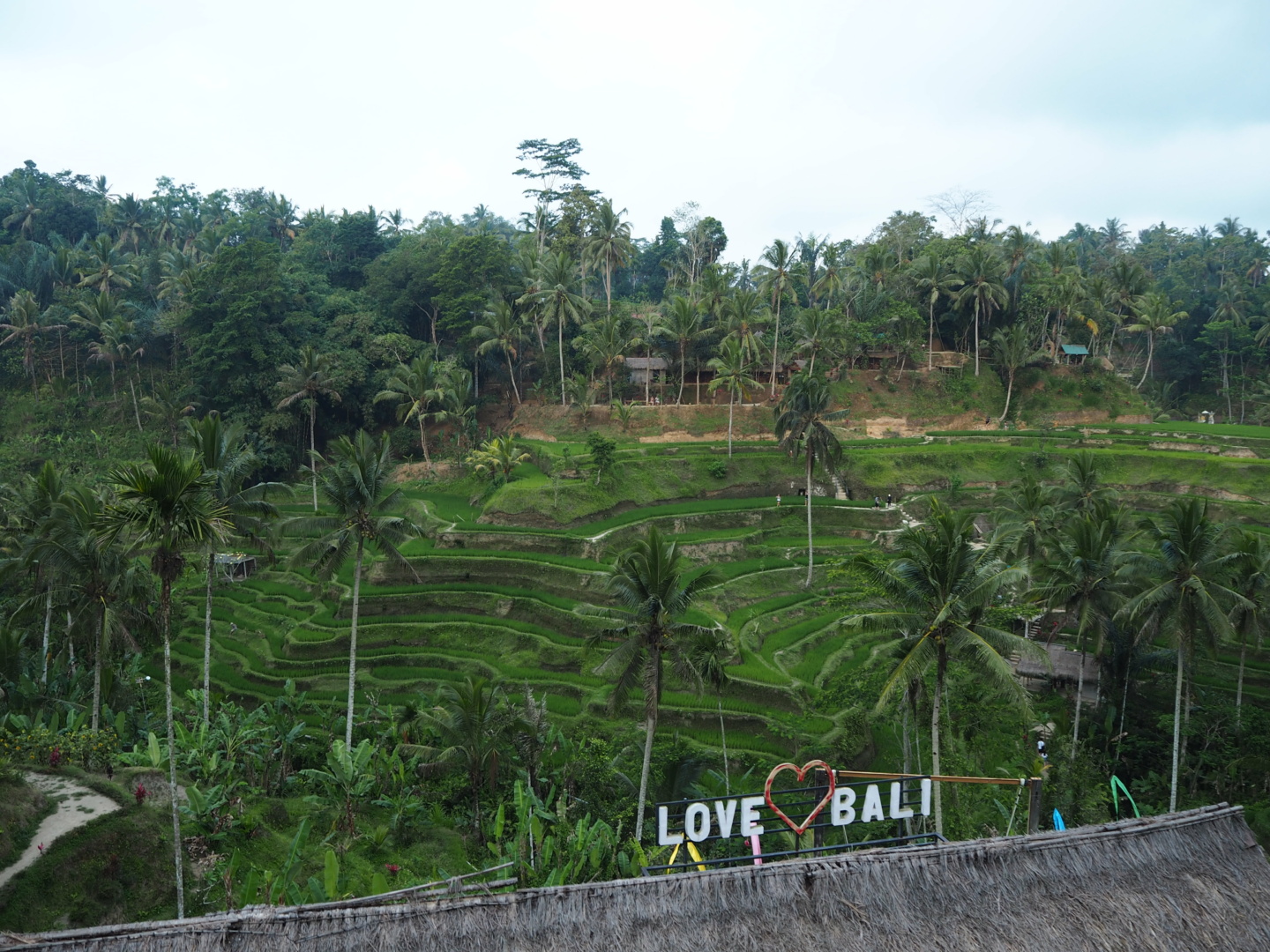 Wanderlustbee - Ubud, Bali