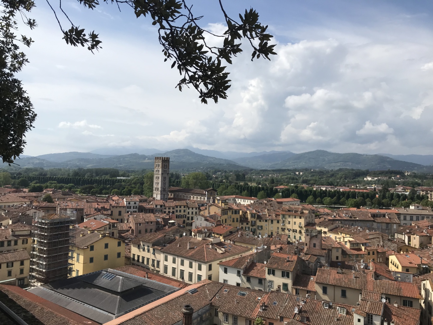 Wanderlustbee, Lucca, Italy