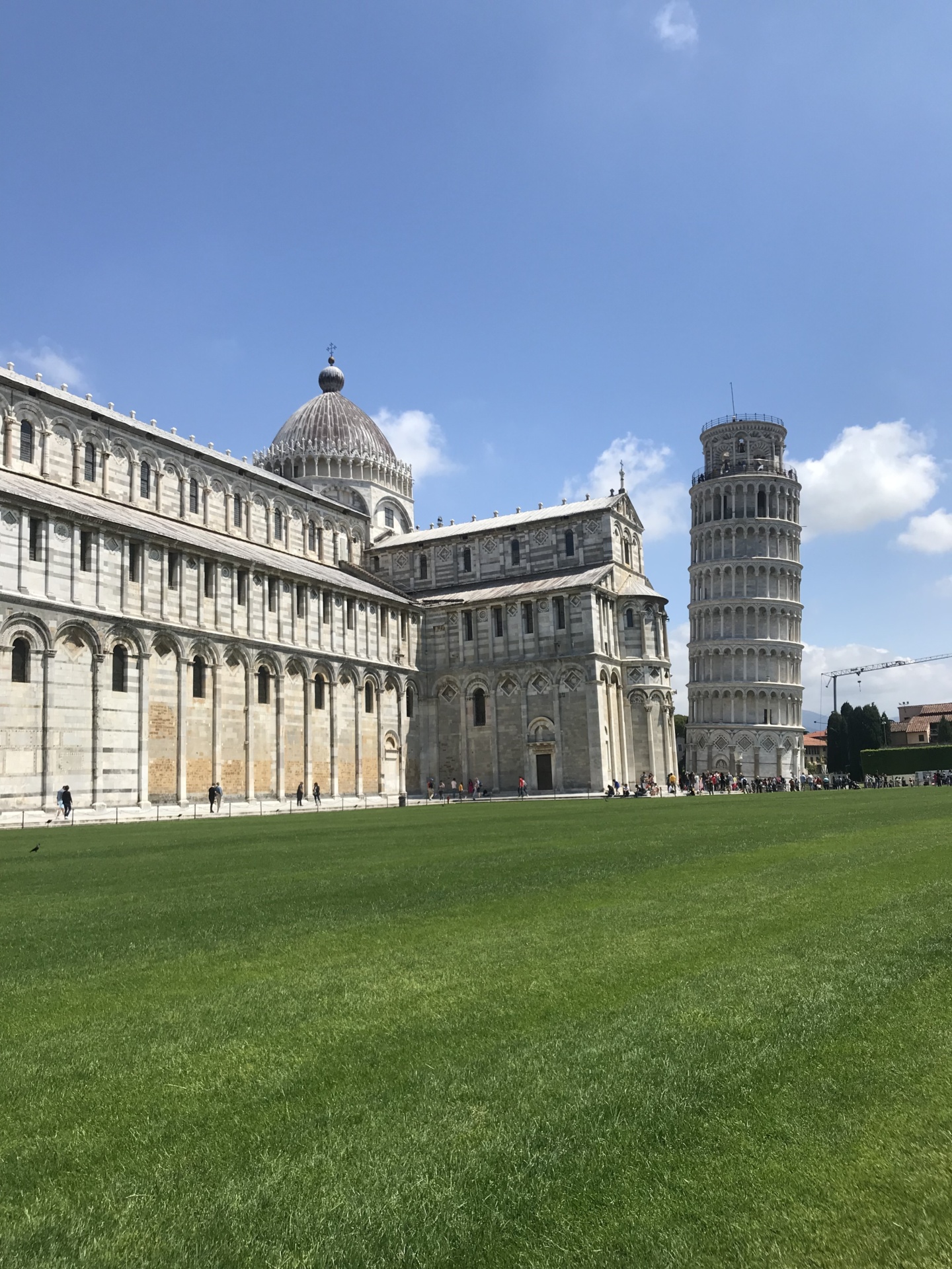 Wanderlustbee, Pisa, Italy