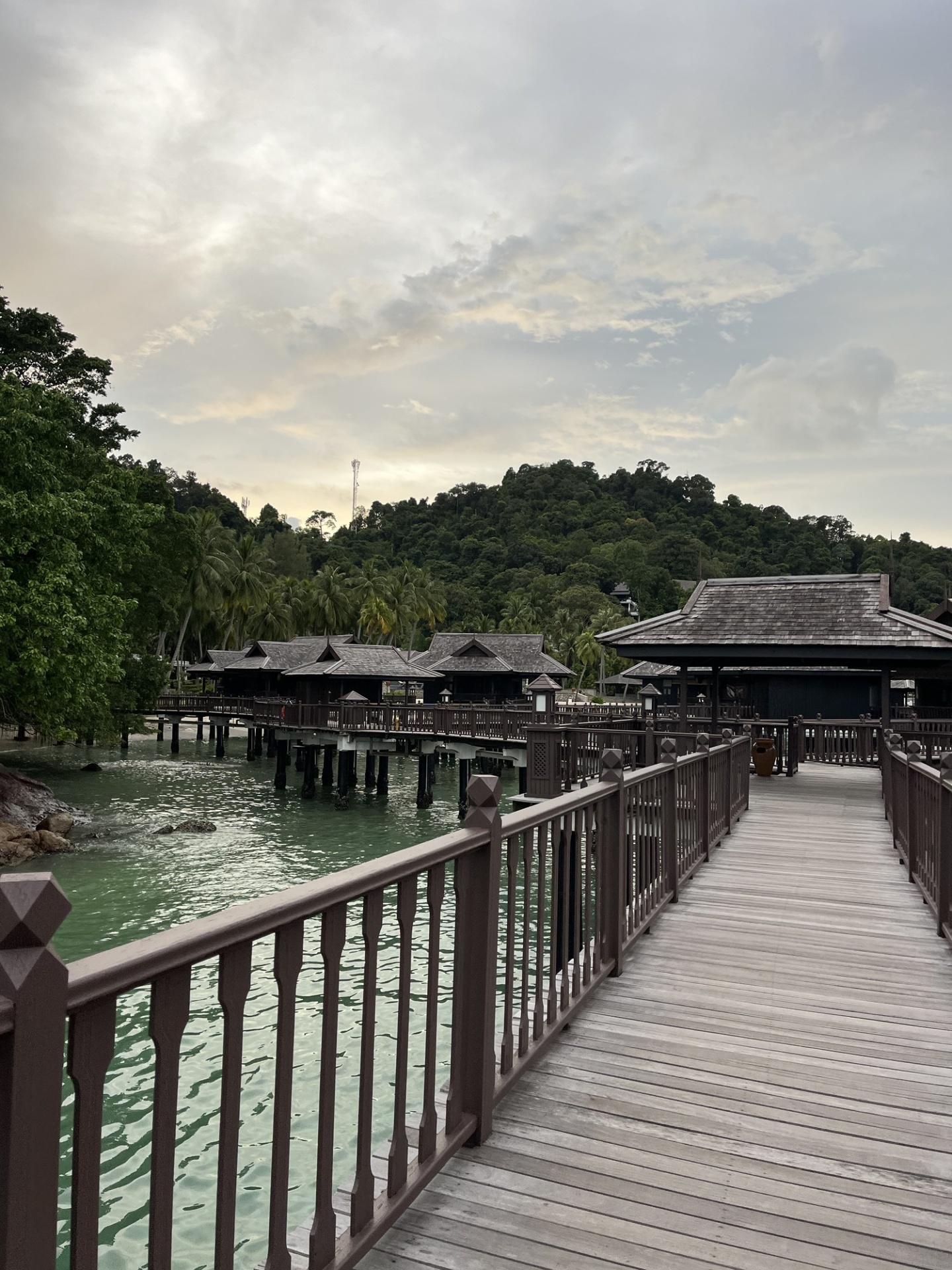 Wanderlust bee, Pangkor laut, malaysia