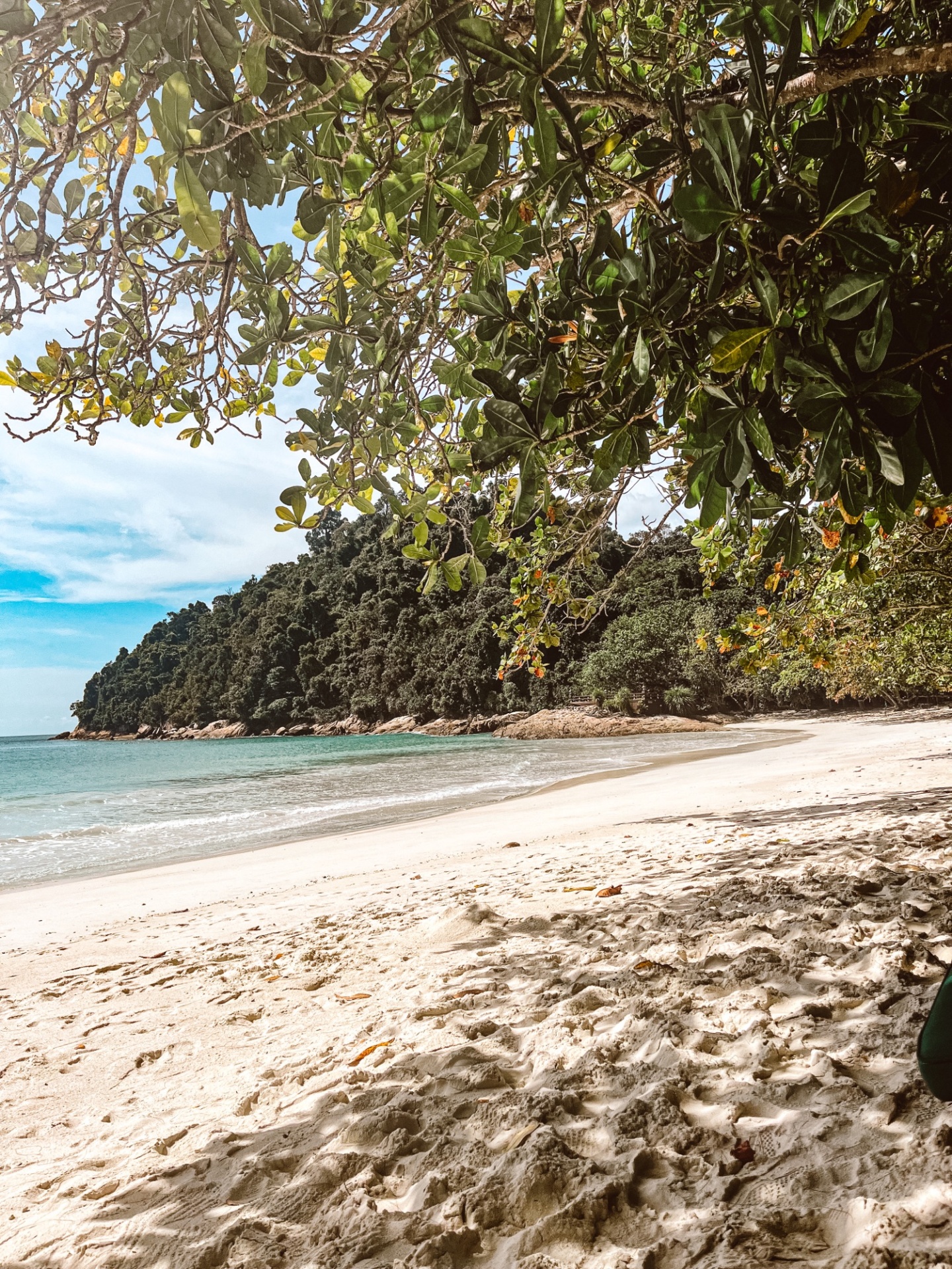 Wanderlust bee, Pangkor laut, Malaysia